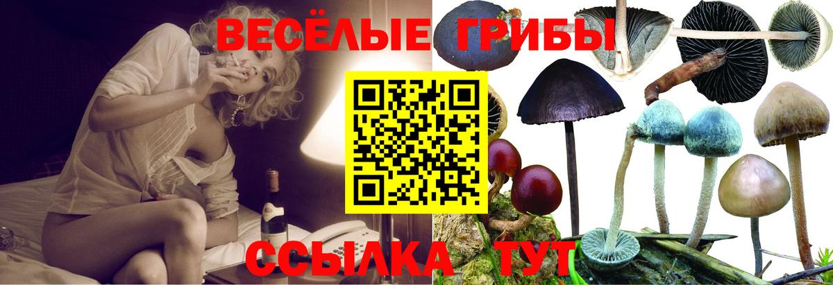 Галлюциногенные грибы мицелий  Вход с VPN  Новочебоксарск 
